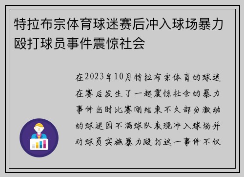 特拉布宗体育球迷赛后冲入球场暴力殴打球员事件震惊社会 特拉布宗体育球迷赛后冲入球场暴力殴打球员事件震惊社会